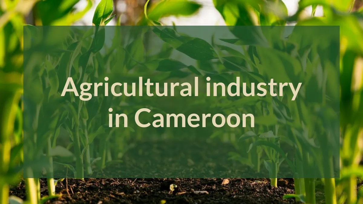 Freelance · 70+ études · Agriculture · Cameroun